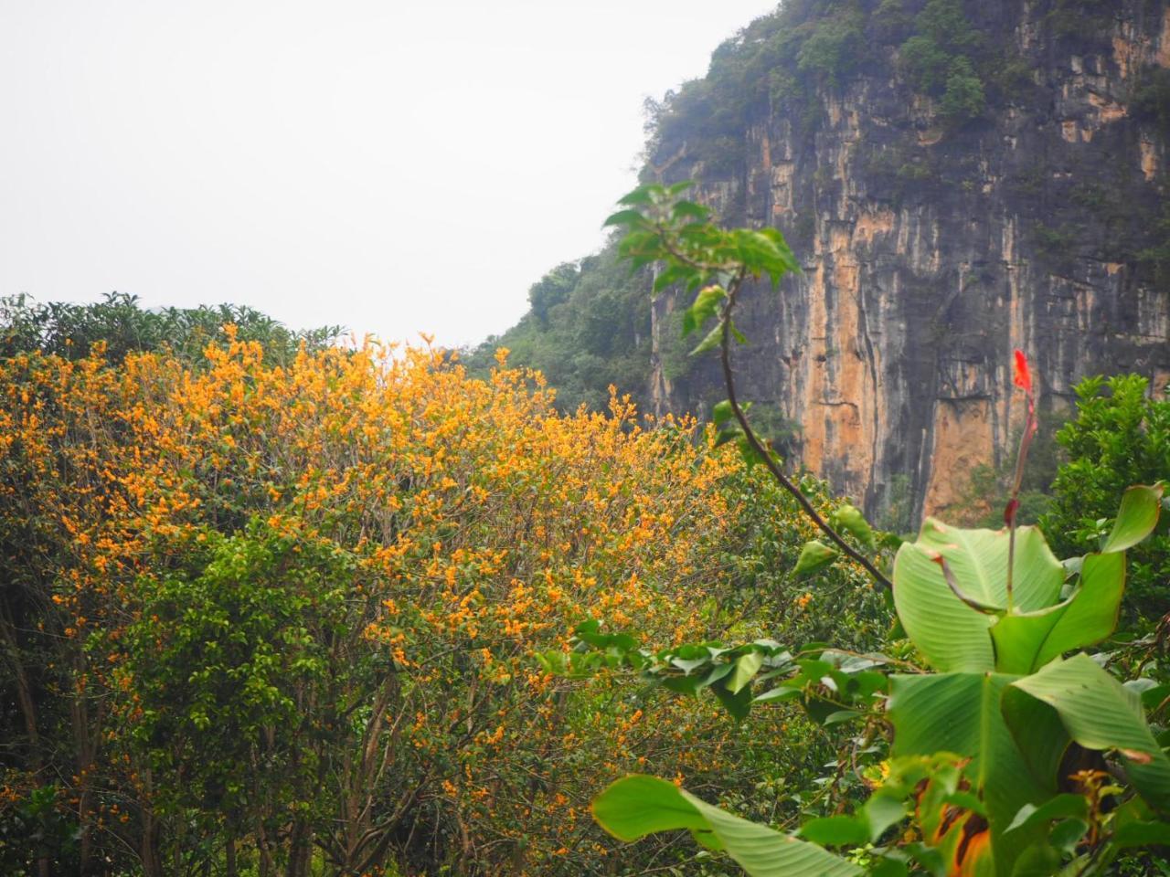 Yangshuo Moon Resort Hotel מראה חיצוני תמונה